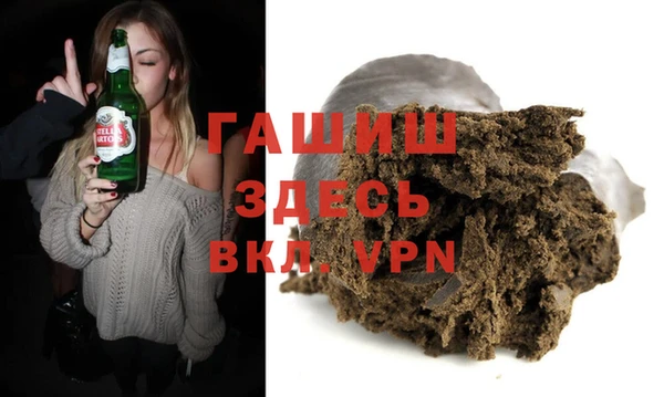 стаф Алзамай