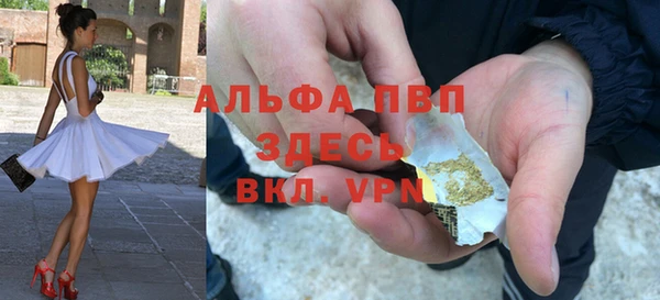 стаф Алзамай